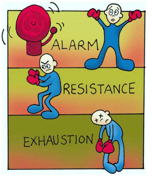 Stages of Stress